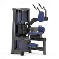 Пресс-машина GYM80 Sygnum Standarts Abdominal Machine 3008