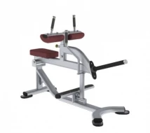 Икроножные, подъем коленей сидя TRUE FITNESS (PARAMOUNT) XFW5700-19