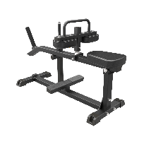 Икроножные сидя IMPULSE FITNESS Functional IFP1623