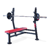 Горизонтальная олимпийская скамья PANATTA Olympic Flat Bench 1SC203