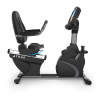 Горизонтальный велотренажер TRUE FITNESS RC900 Envision 9