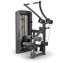 Тяга сверху TRUE FITNESS Palladium Lat Pulldown SPL-1100 Acrylic