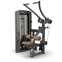 Тяга сверху TRUE FITNESS Palladium Lat Pulldown SPL-1100 Acrylic